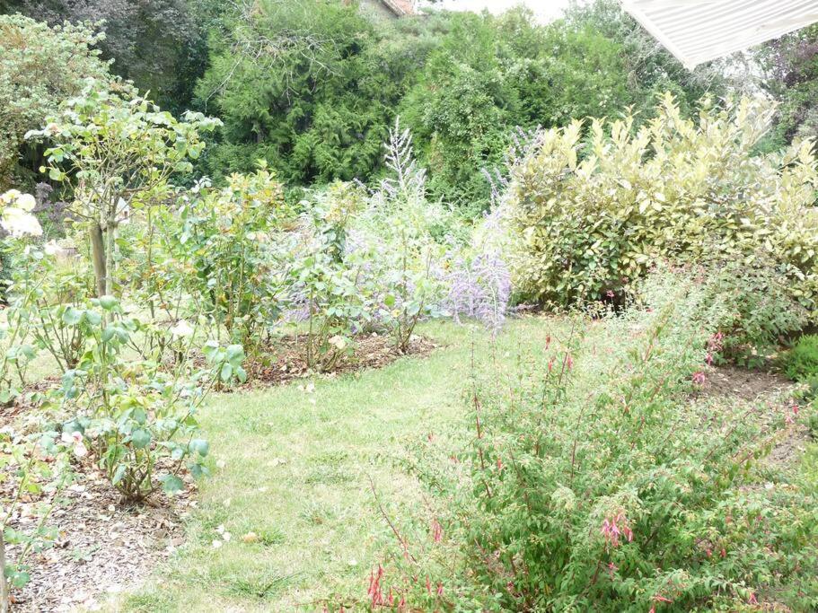 Clos Fleuri : Amboise Home With Amazing Gardens 외부 사진